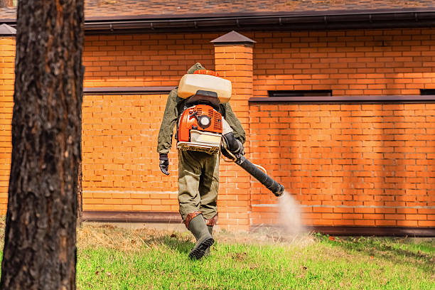 Trusted Mosquito Control service in Gainesboro, TN - Nex Pest Control